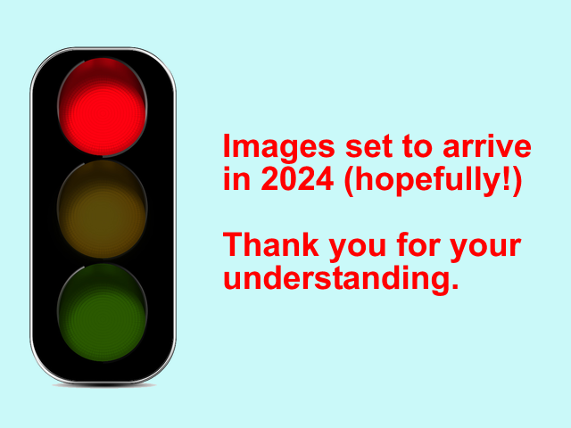 Images 2024