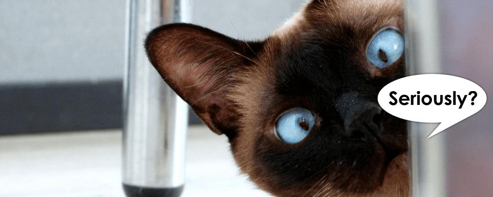 Cats Eyes